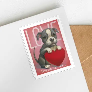 2023 Love Cat and Dog Heart Forever First Class Postage Stamps