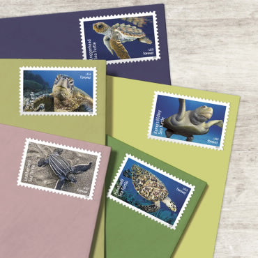 2024 Protect Sea Turtles Forever First Class Postage Stamps