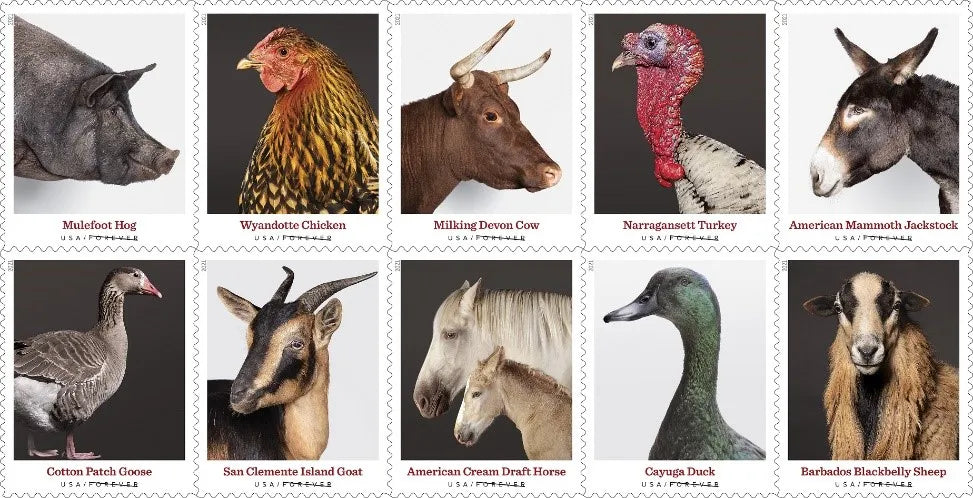 2021 Heritage Breeds Forever First Class Postage Stamps