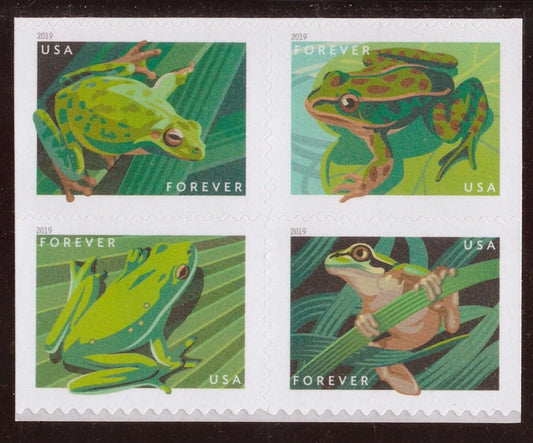 2019 Frogs Forever First Class Postage Stamps